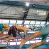 Campeonatos Regionais de Juniores e Seniores da Associação de Natação do Norte de Portugal