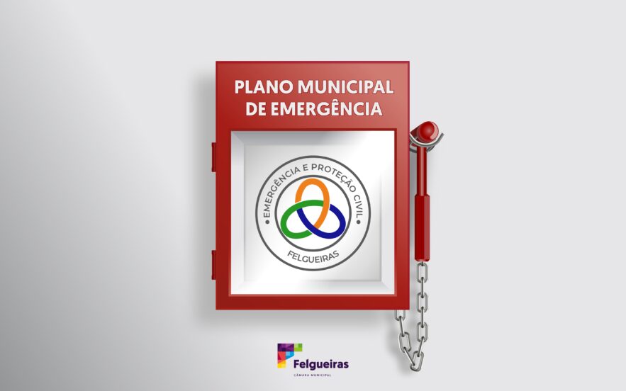 Plano Municipal de Emergência de Proteção Civil do Município de Felgueiras