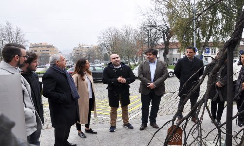 arvoredaesperanca2017