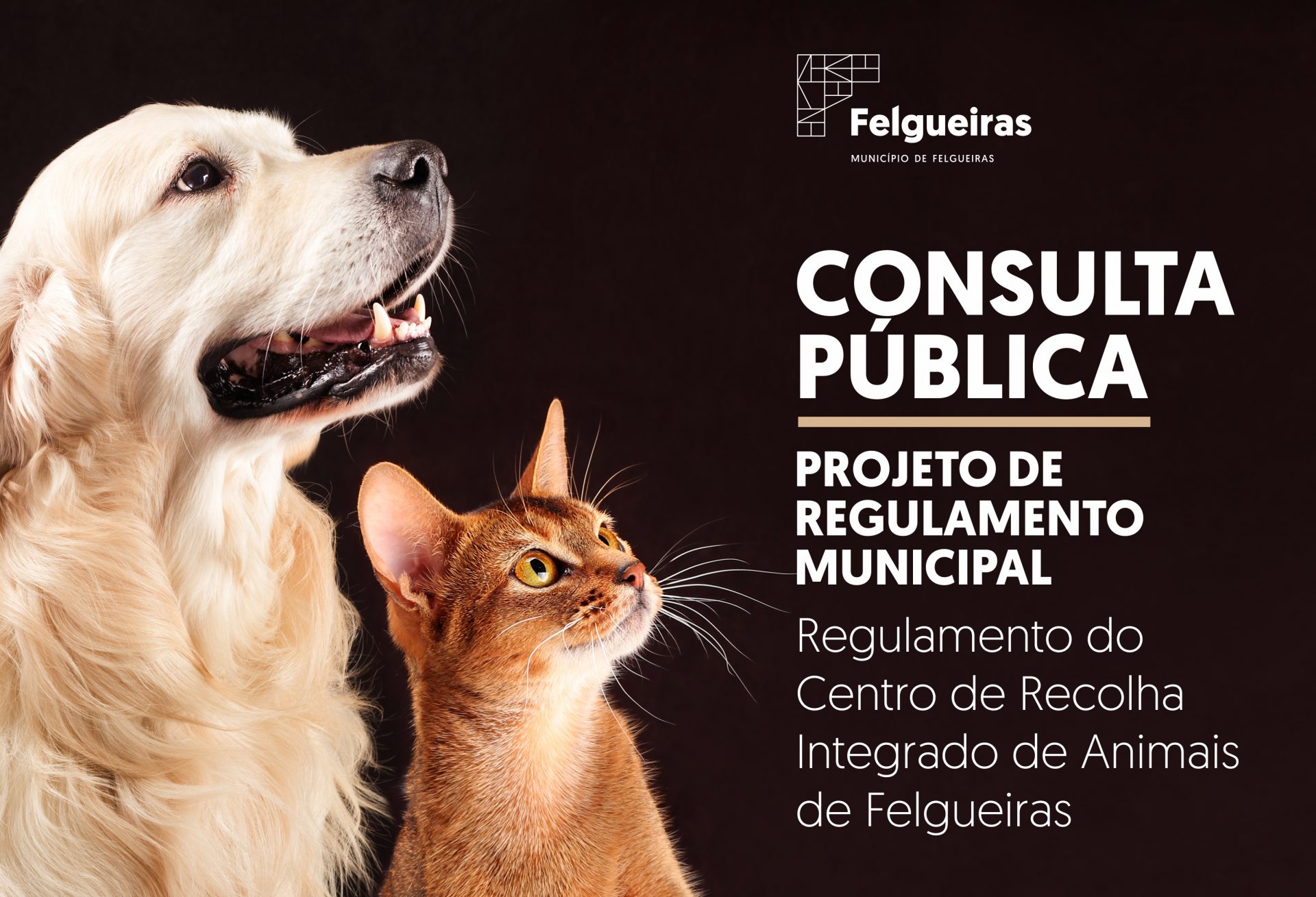 Banner_consulta pública