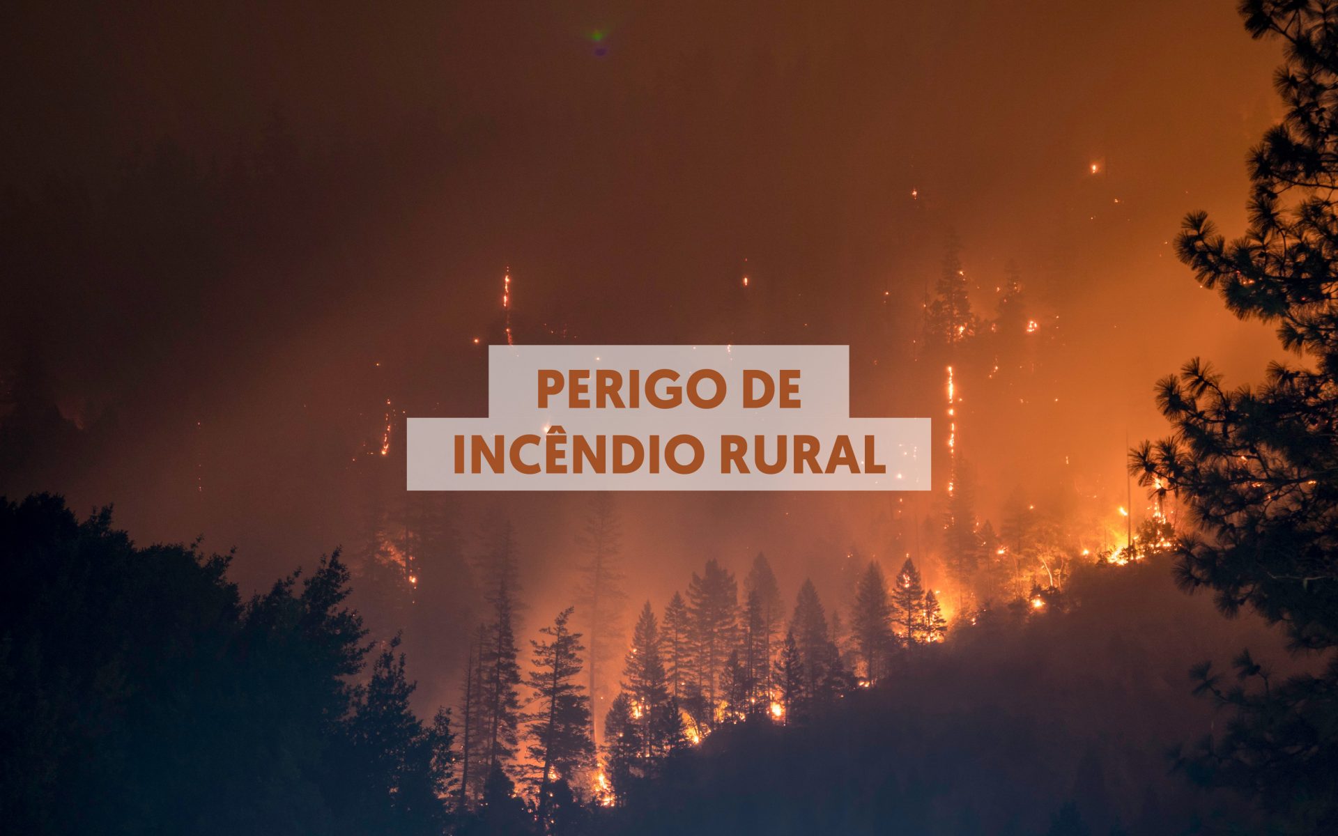 Incêndios Rurais_Website