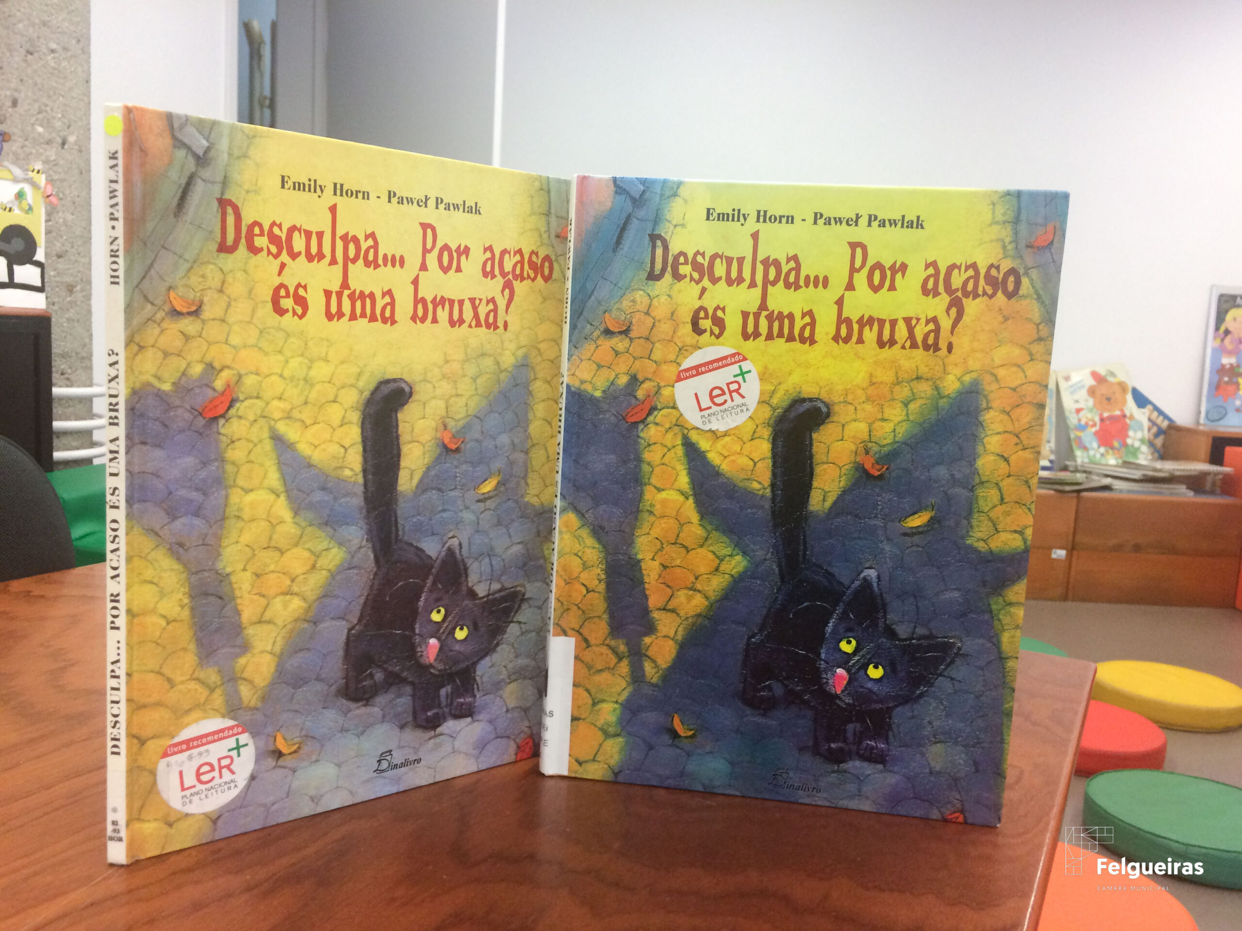 Livro Desculpa...Por acaso és uma bruxa?