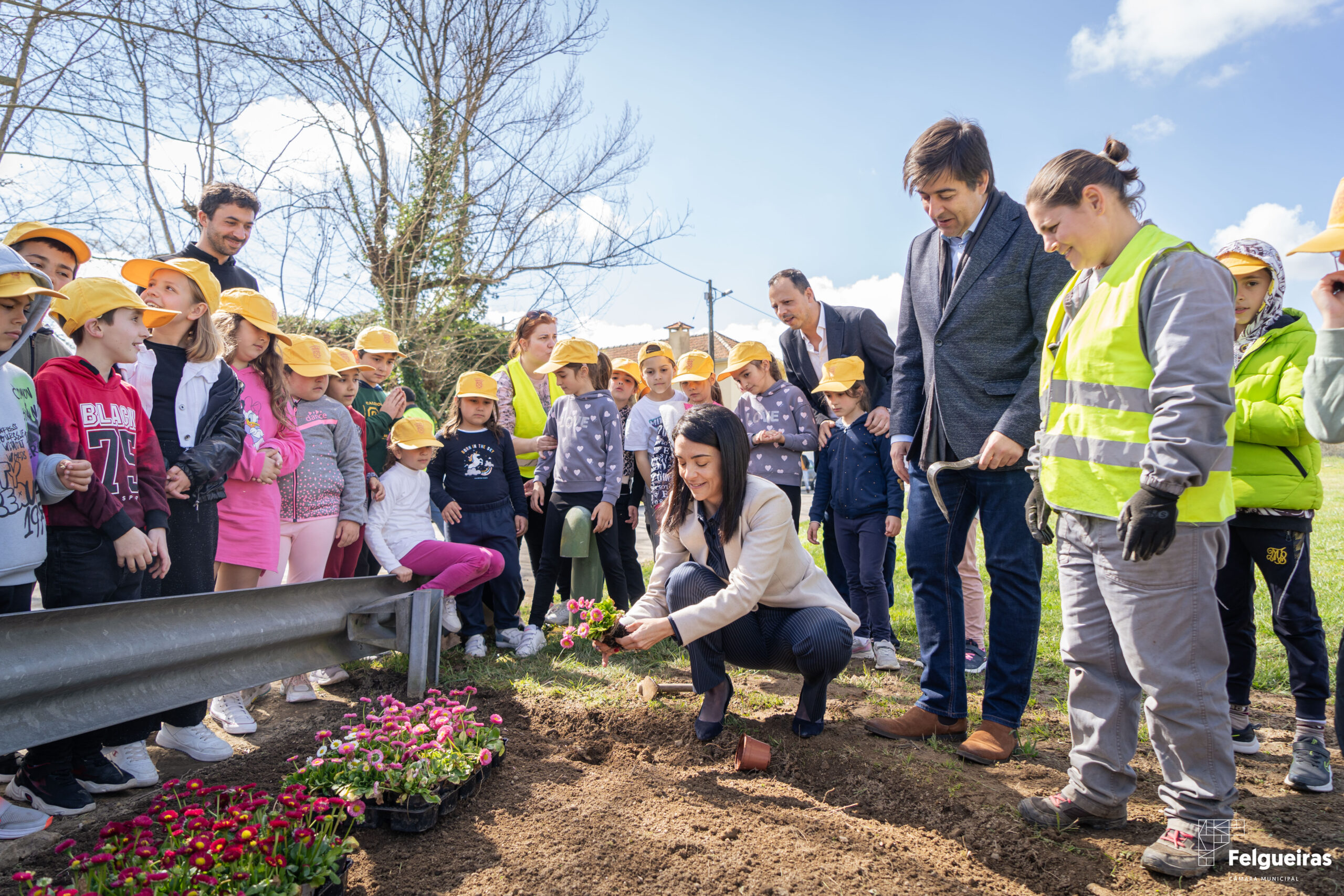 Dia Mundial da Árvore