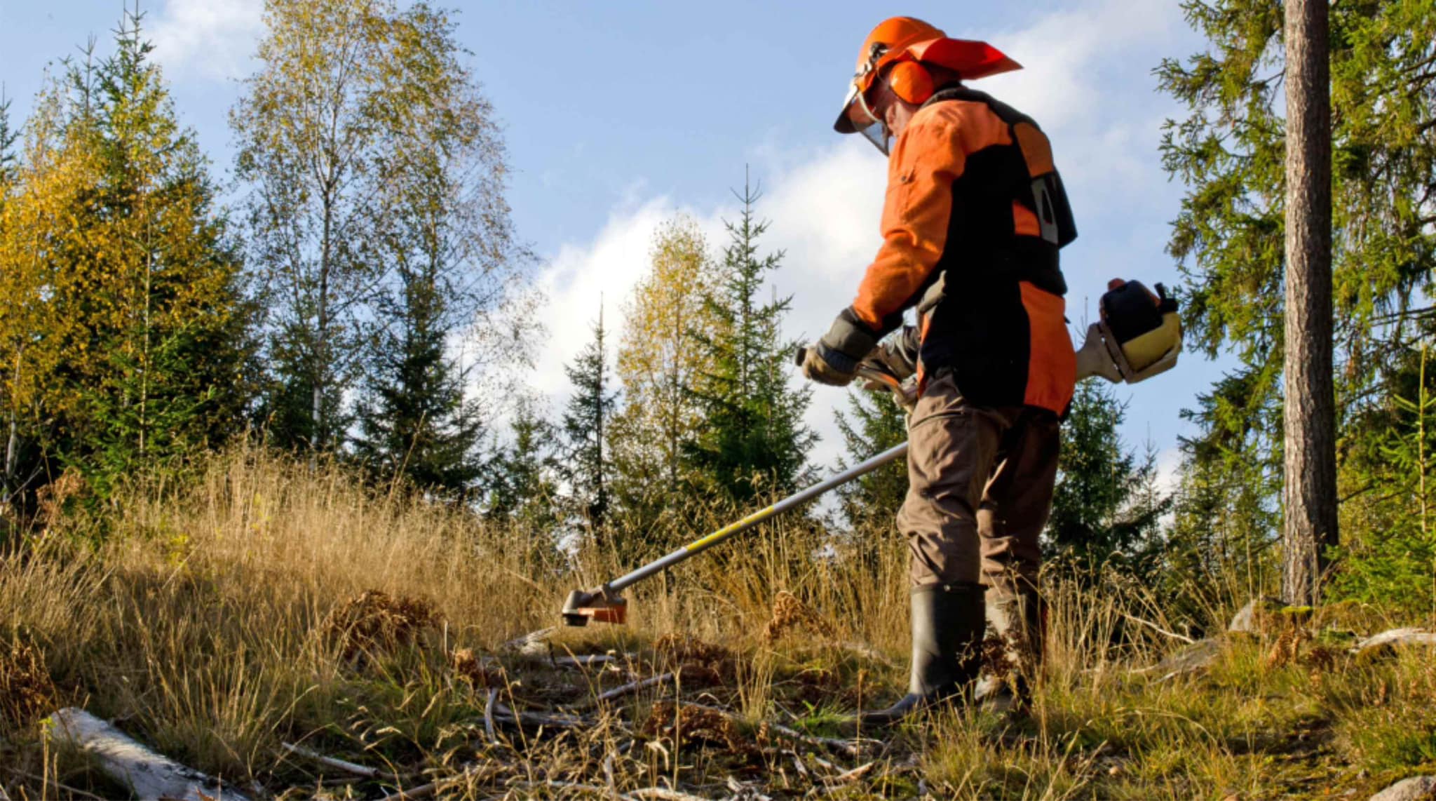 Câmara Apoio a Contratação de 32 Operacionais para as Freguesias