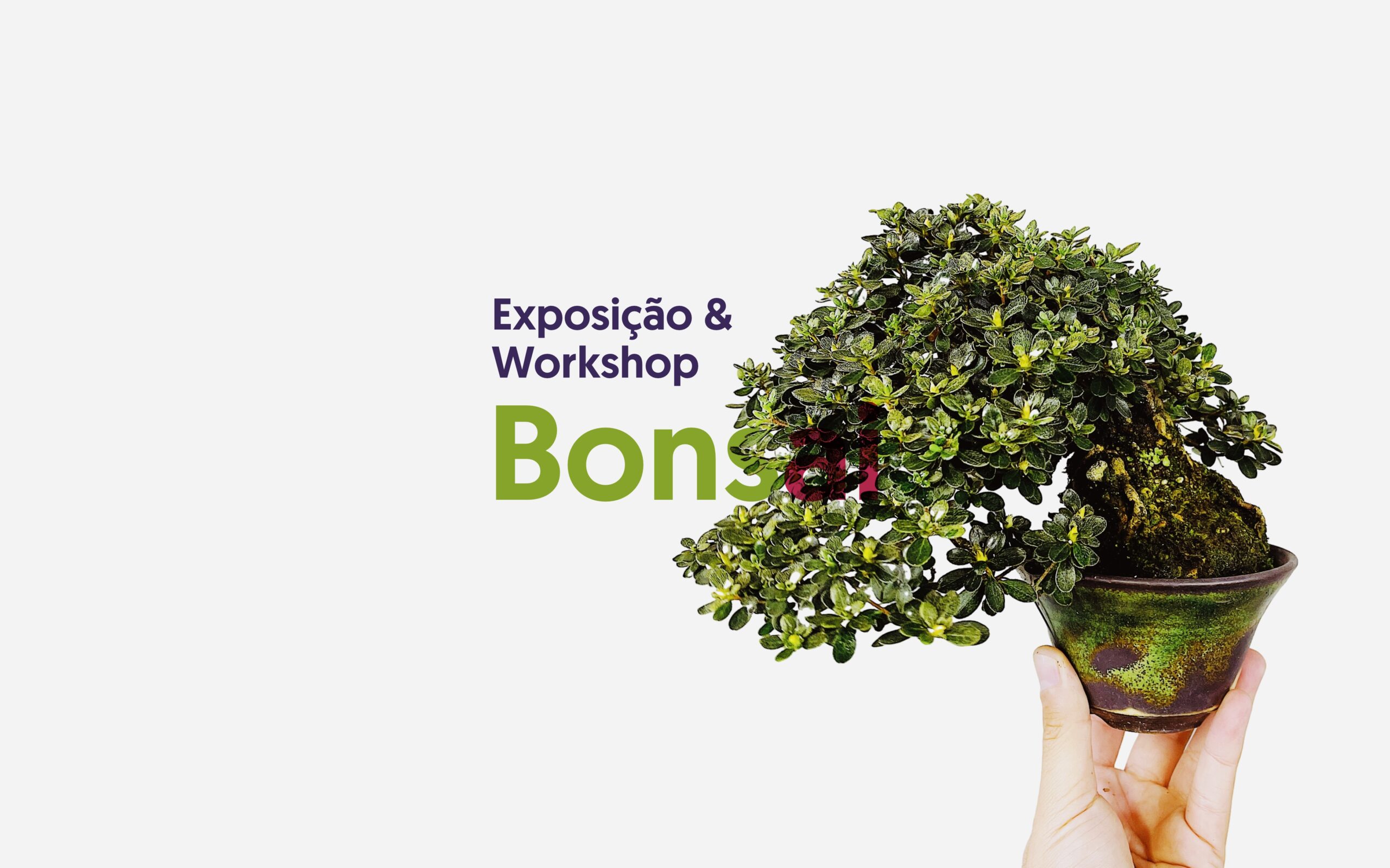 banner site_Bonsai