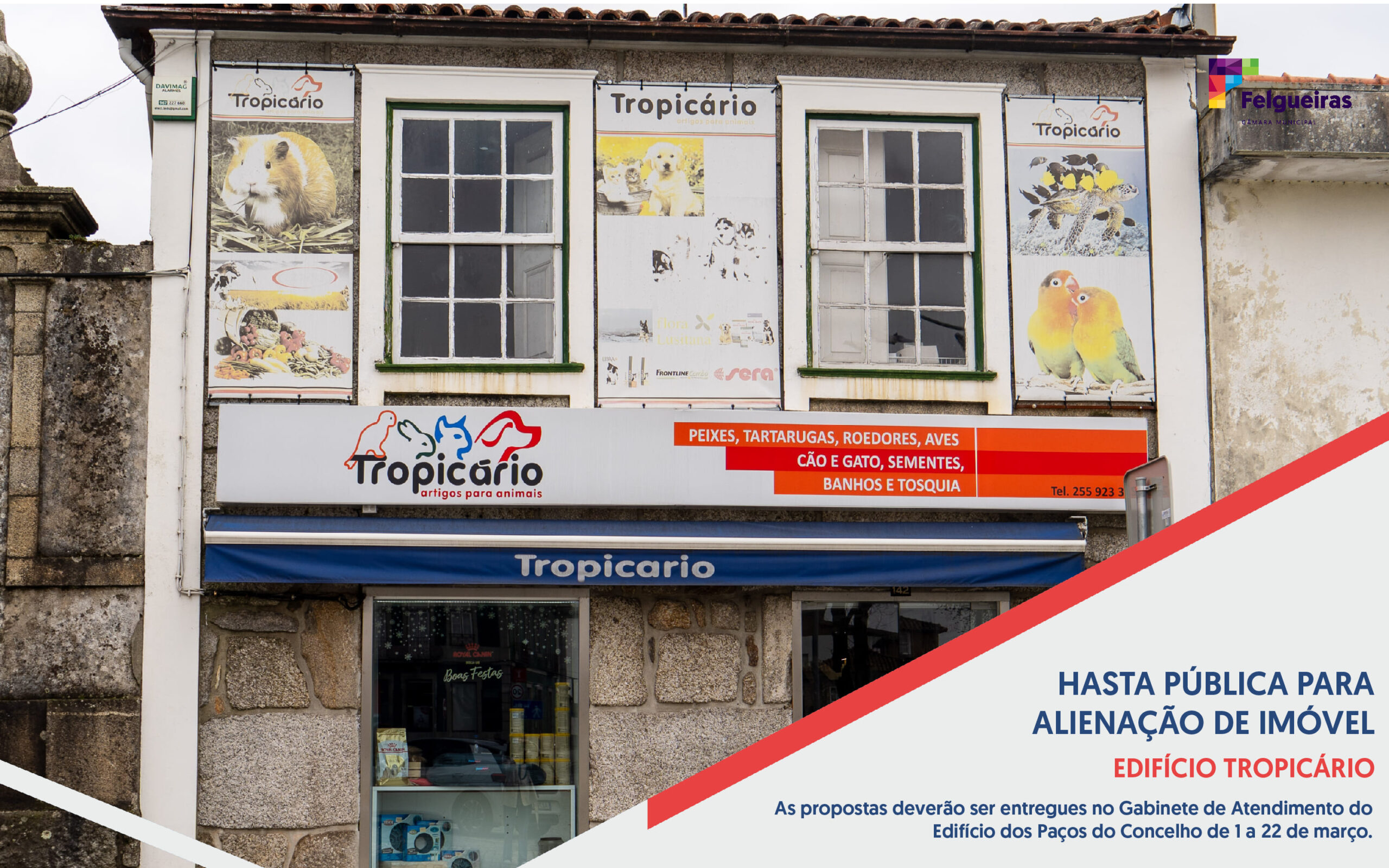 Hasta Pública para Alienação de Imóvel - Edifício Tropicário