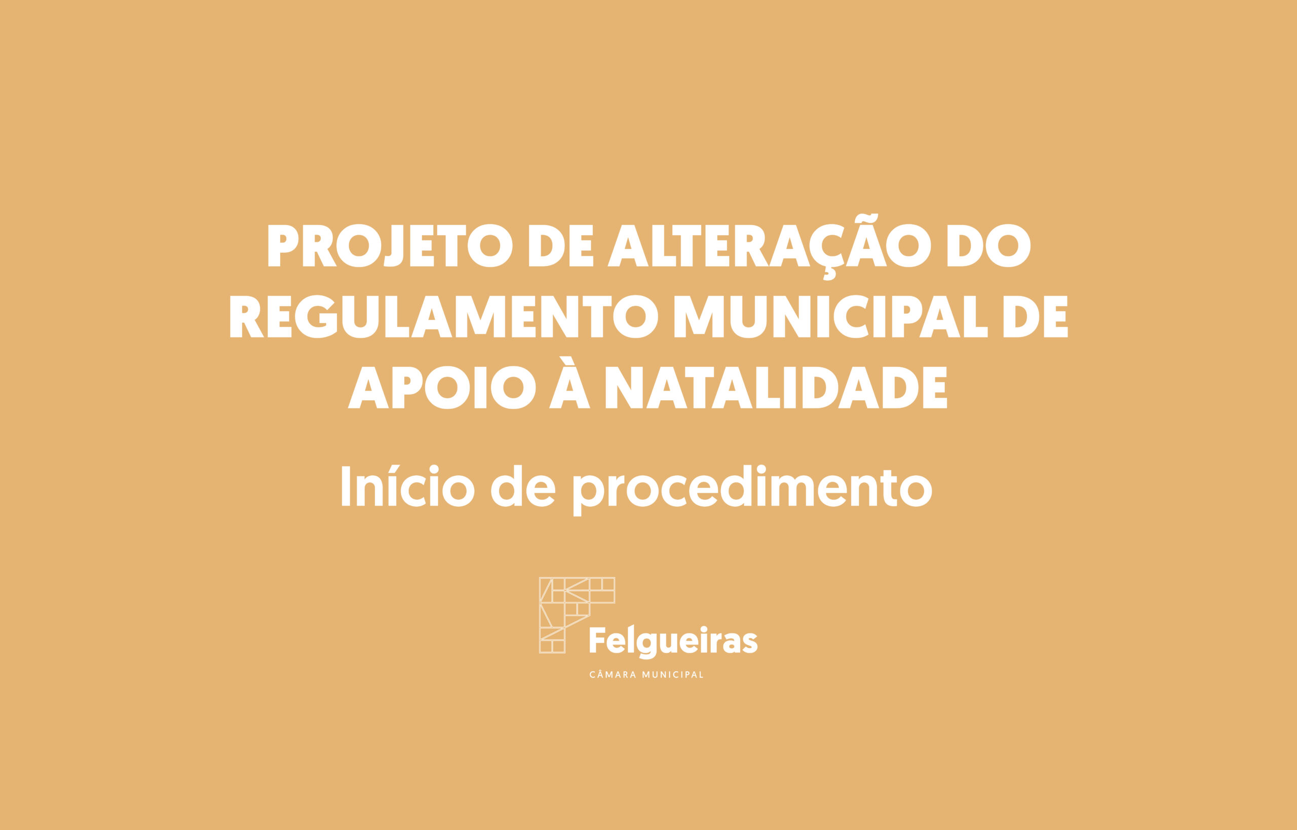Site - Projetos de Regulamento Apoio à natalidade