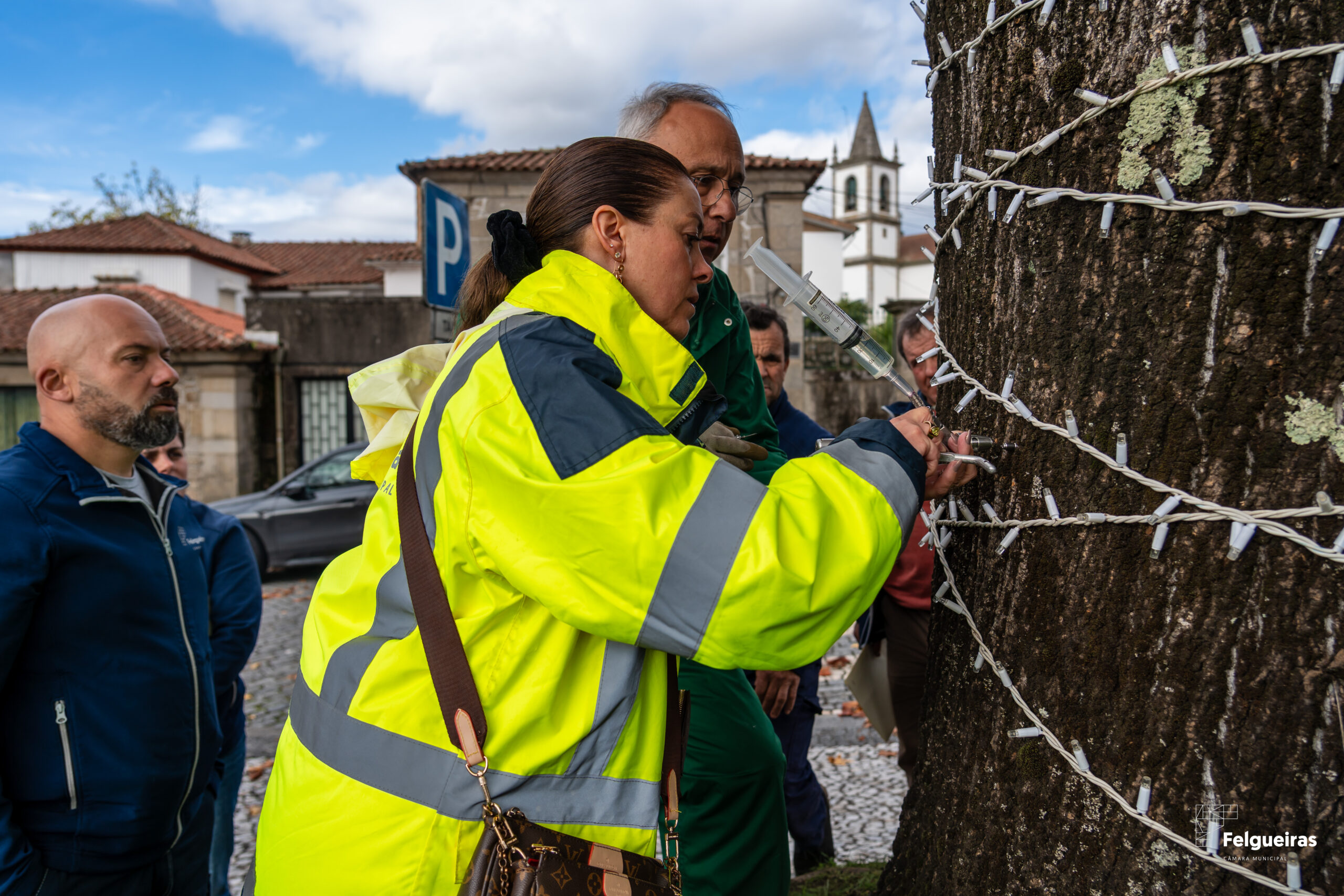 Felgueiras cuida e protege as diferentes espécies de plantas