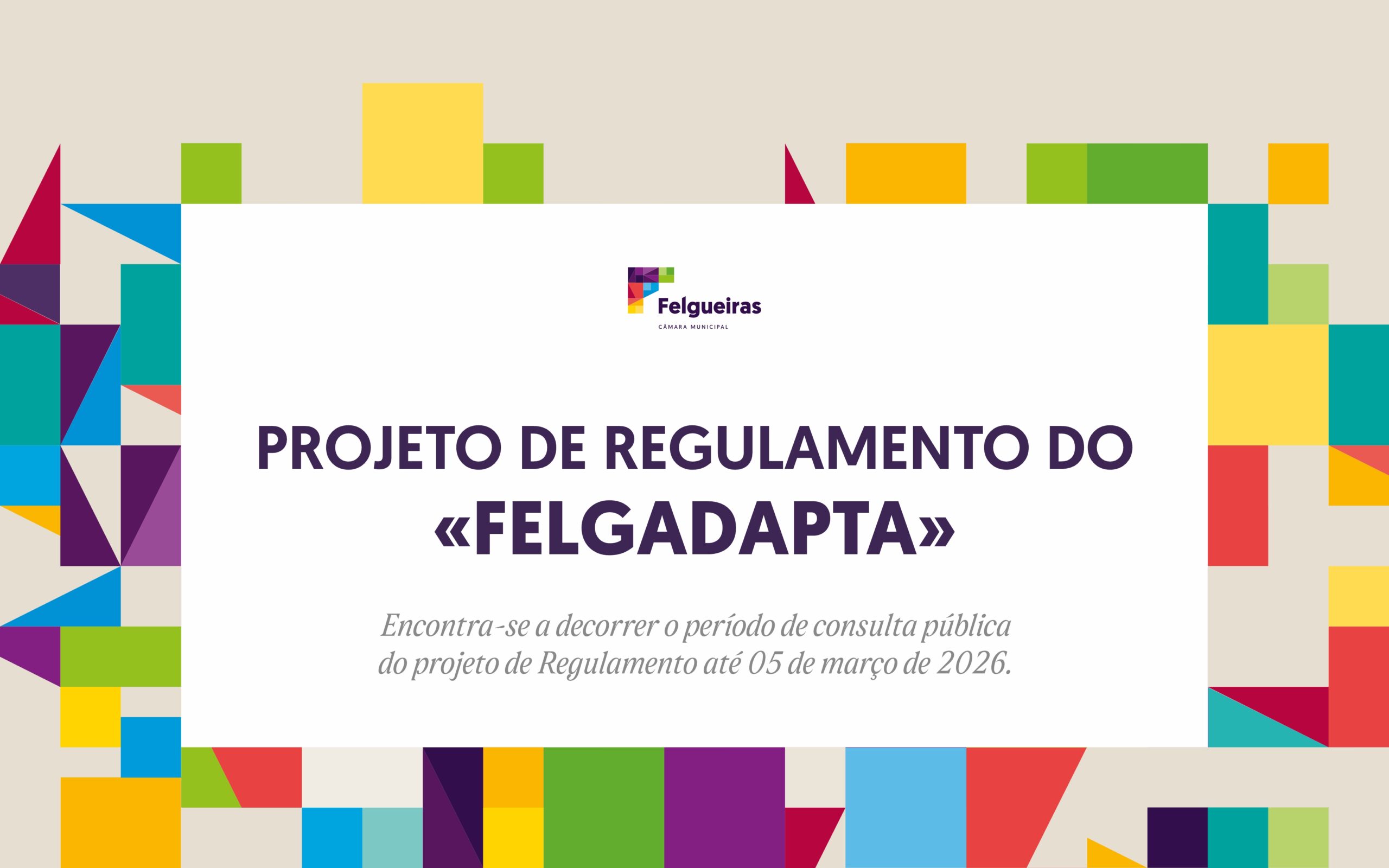 PROJETO DE REGULAMENTO DO FELGADAPTA