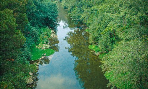 Municipio de Felgueiras investe na valorização dos rios