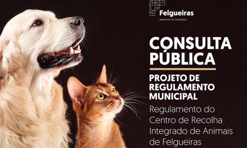 Banner_consulta pública