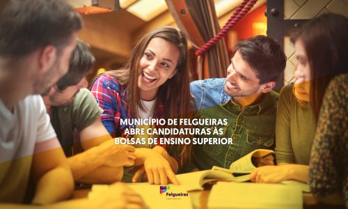 Bolsas de Estudo Ensino Superior 2024-2025