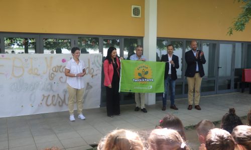 Escola terra à terra