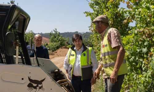Câmara de Felgueiras alarga a rede de saneamento em Borba de Godim