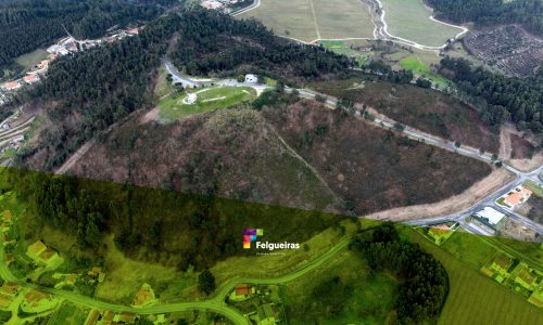 Castro da Senhora da Aparecida