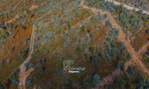 Município de Felgueiras já tem a funcionar o Balcão Único do Prédio (BUPi)