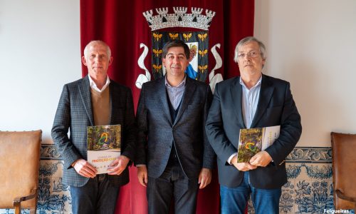 Corporações de Bombeiros de Felgueiras e Lixa