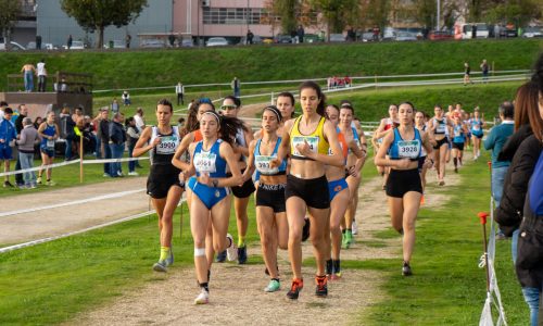 Felgueiras recebe o campeonato regional de Corta-Mato Longo e Corta-Mato Jovem do Calçado na Zona Desportiva no próximo sábado