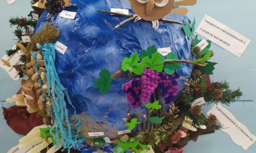 DMFS_Painel da Biodiversidade