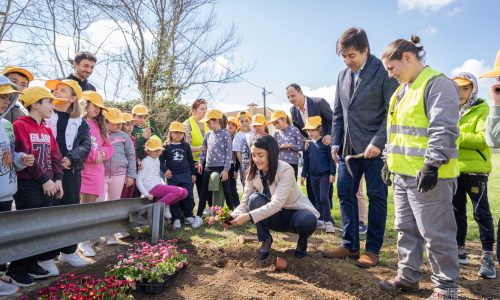 Dia Mundial da Árvore