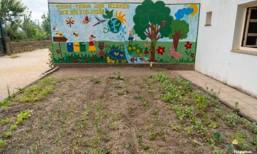 Dia Mundial do Ambiente