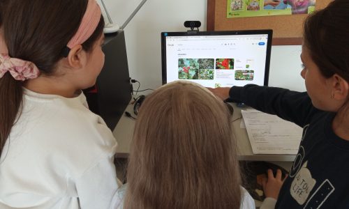 EB Cimo de Vila - Biodiversidade