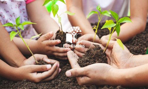 Eco-Escolas_Website-05