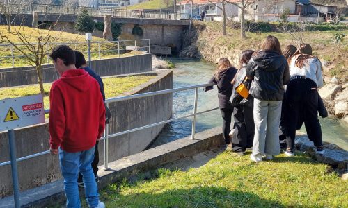 Escola Secundária de Felgueiras e Escola Profissional de Felgueiras realizam os seus projetos de ambiente e sustentabilidade