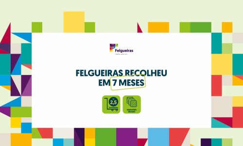 Projeto FeelInGreen - Felgueiras recolheu em 7 meses 2,5 toneladas de materiais têxteis