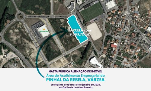 Hasta Pública Alienação de Imóvel - AEE