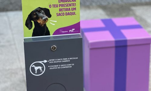 Campanha “Se o teu cão te dá um presente, não o deixes no chão”