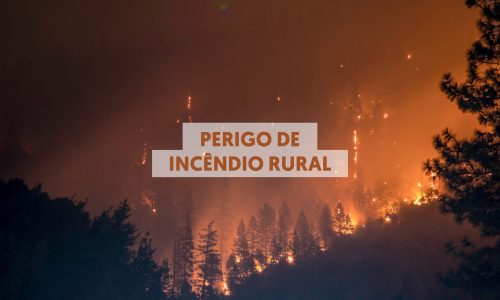 Incêndios Rurais_Website