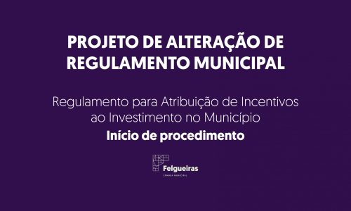 Regulamento para Atribuição de Incentivos ao Investimento no Município