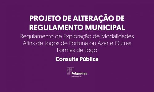 Regulamento de Exploração de Modalidades Afins de Jogos de Fortuna ou Azar e Outras Formas de Jogo