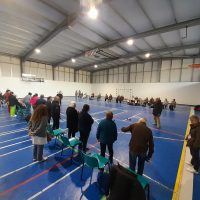 2ª jornada - “Especial Empatia” da Liga Boccia Sénior das Instituições de Felgueiras 2025/2026