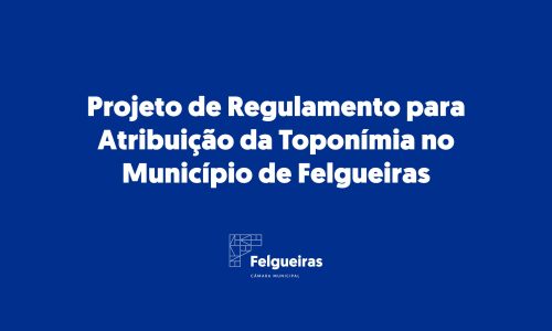 Projeto de Regulamento para Atribuição da Toponímia no MF