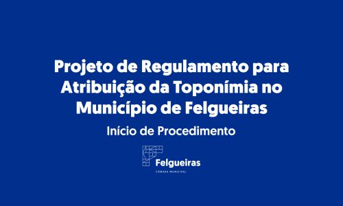 Projeto de Regulamento para Atribuição da Toponímia no Município de Felgueiras