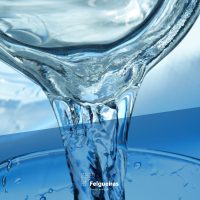 Felgueiras volta a ser distinguida com o Selo de Qualidade da Água da ERSAR