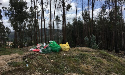 Rally_Portugal_2021 (3)