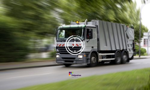 Recolha Quadra Natalícia