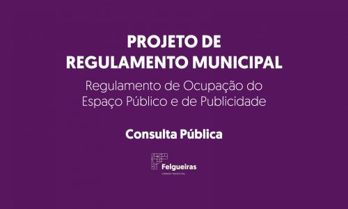 Regulamento de Ocupação do Espaço Público e de Publicidade