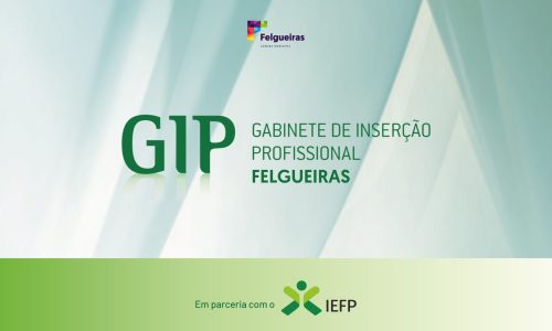 SITE_IEFP_GIP