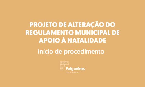 Site - Projetos de Regulamento Apoio à natalidade