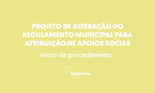 Site - Projetos de Rgulamento Apoios Socias