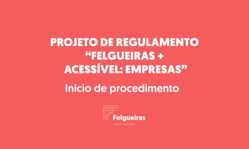 Site - Projetos de Rgulamento Felgueiras acessivel-02