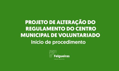 Site - Projetos de Rgulamento Voluntariado