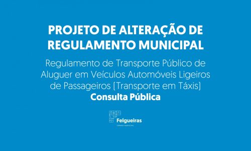 Regulamento de Transporte Público de Aluguer em Veículos Automóveis Ligeiros de Passageiros (Transporte em Táxis)