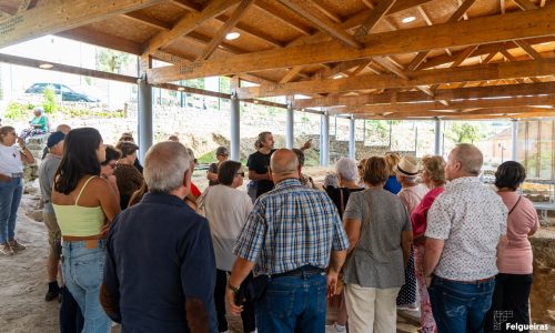 Villa Romana de Sendim