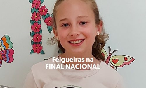 CNL_FELGUEIRAS