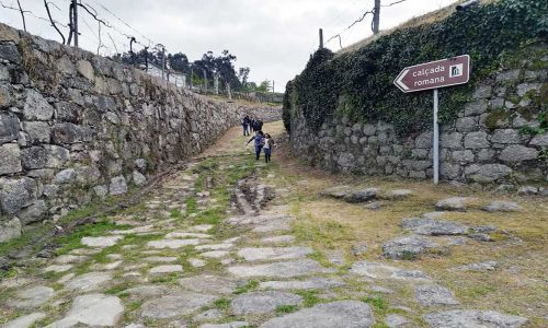 alunosdefelgueirasaprendemc